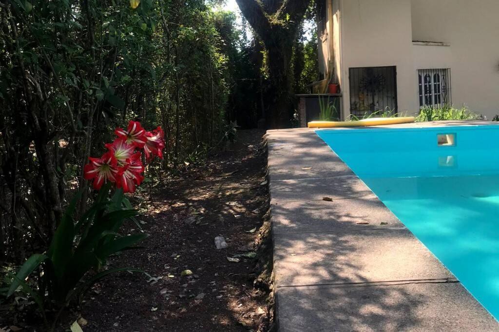 Duplex En San Lorenzo, Apartment *